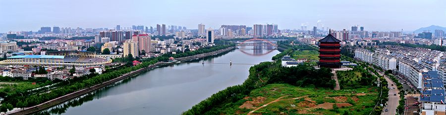 了解信阳毛尖的发展历史,信阳毛尖发展史