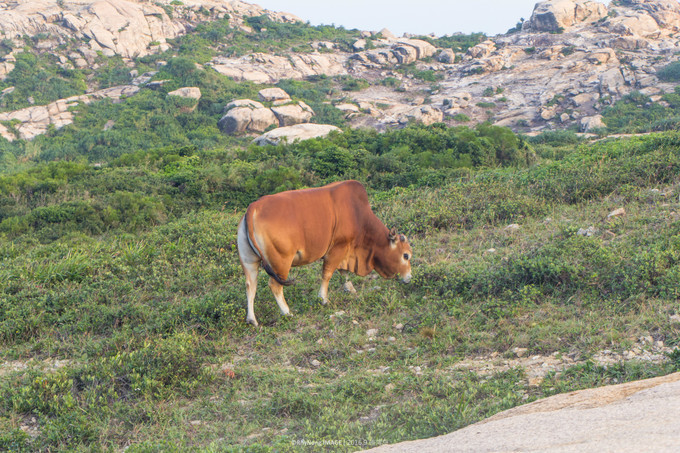 夏日沙滩玩水letsgo,letsgo夏日旅行