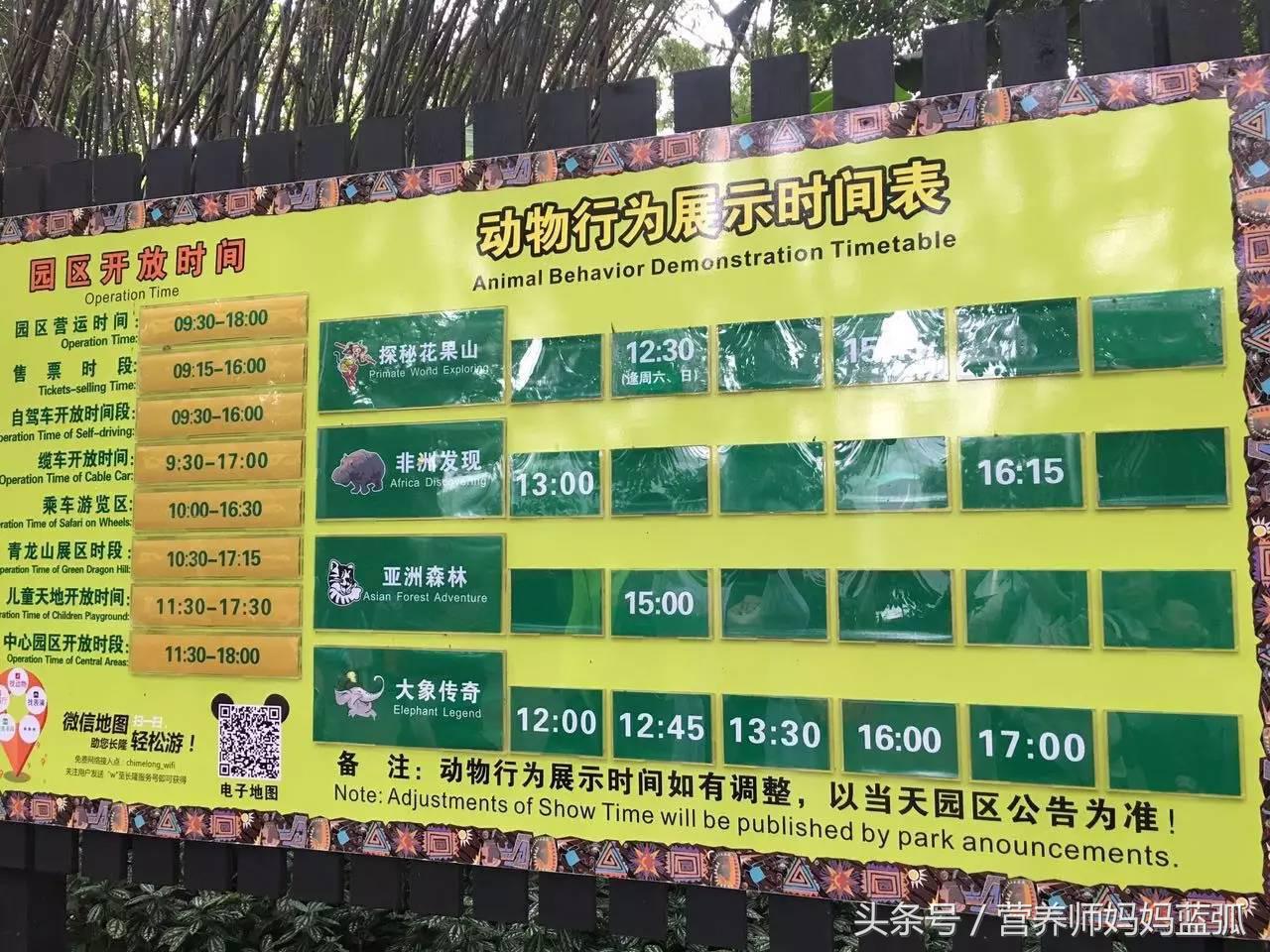 暑假长隆海洋王国游玩感受,海洋王国好玩还是长隆野生动物园