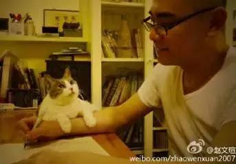 古牧真的很难养吗,古牧被遗弃了