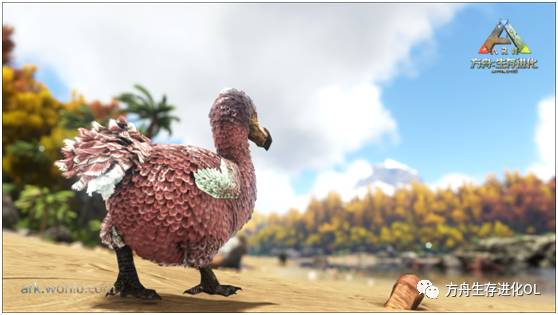 方舟15大萌宠评选,你家萌宠上榜了吗?