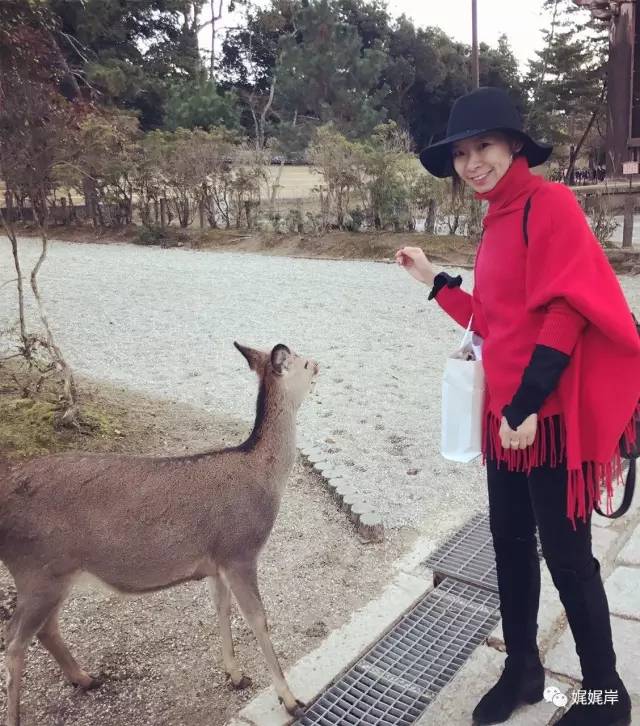 京都雾霾在哪里,冬天去京都合适吗