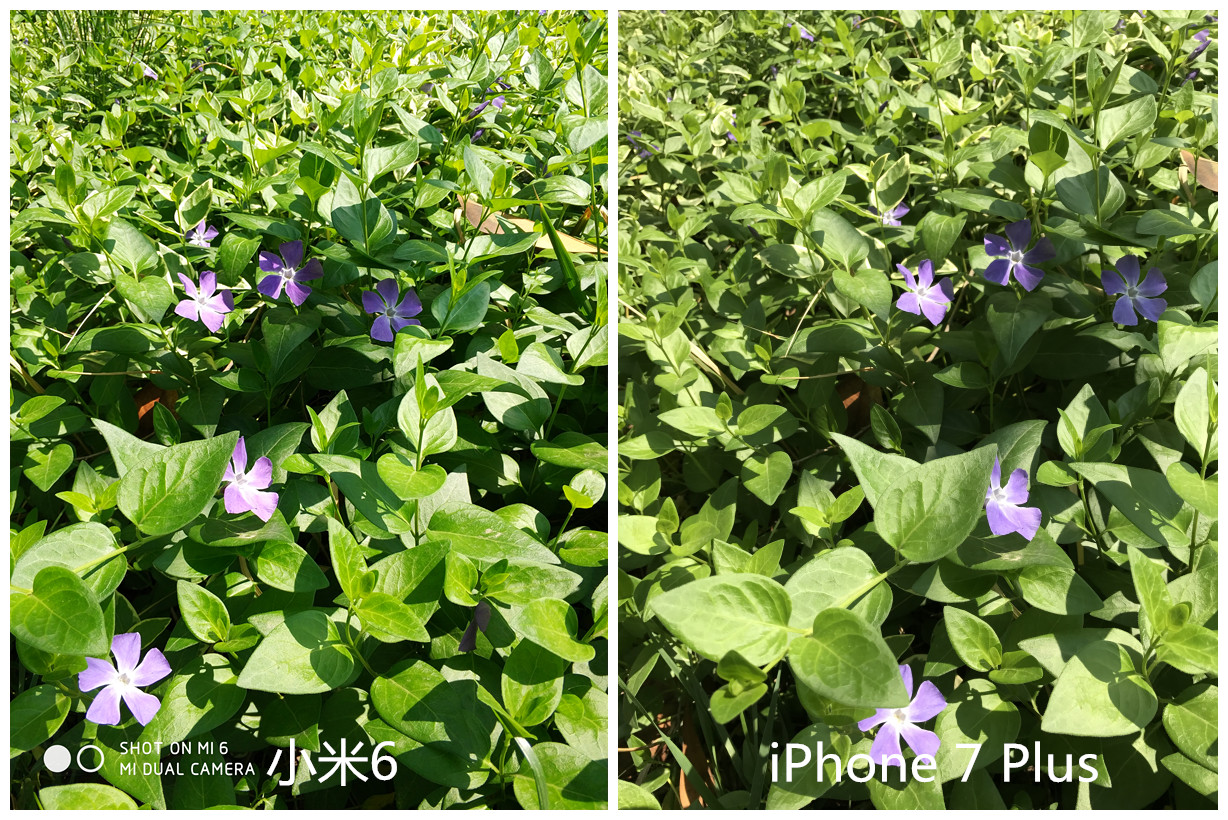 小米6配置优缺点大曝光,小米6详细体验评测表