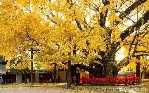 临沂三区九县改成什么了,临沂市三区九县名称