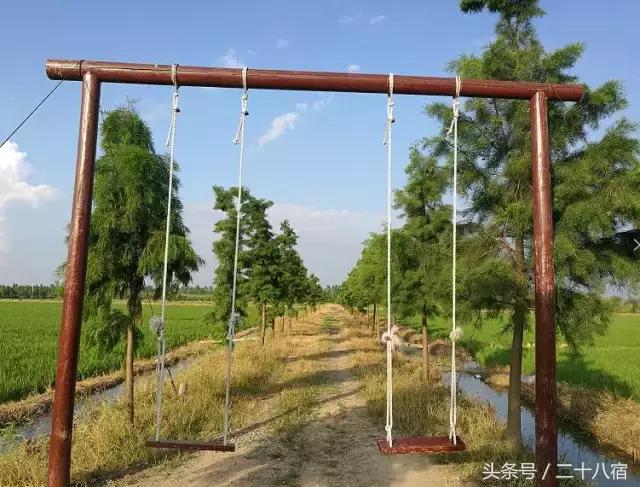 乡根东林渡,乡根东林渡露营