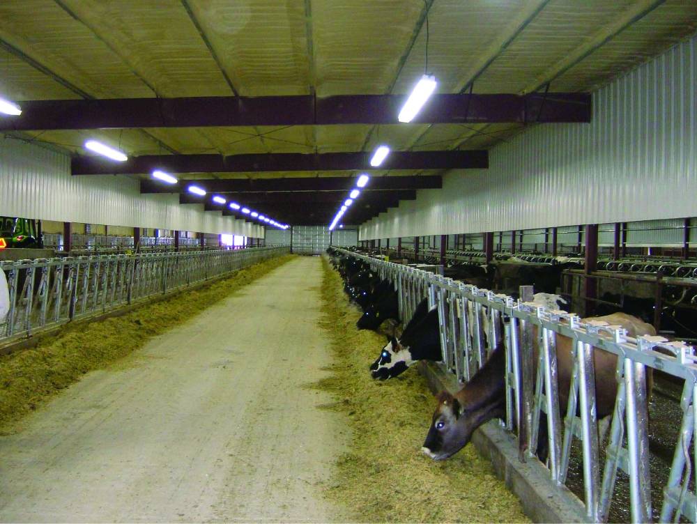 鐗涜垗娑堟瘨甯哥敤鐨勬秷姣掑墏,鐗涜垗娑堟瘨甯哥敤鐨勬秷姣掑墏姣斾緥