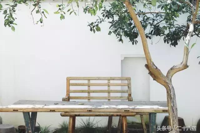 乡根东林渡,乡根东林渡露营