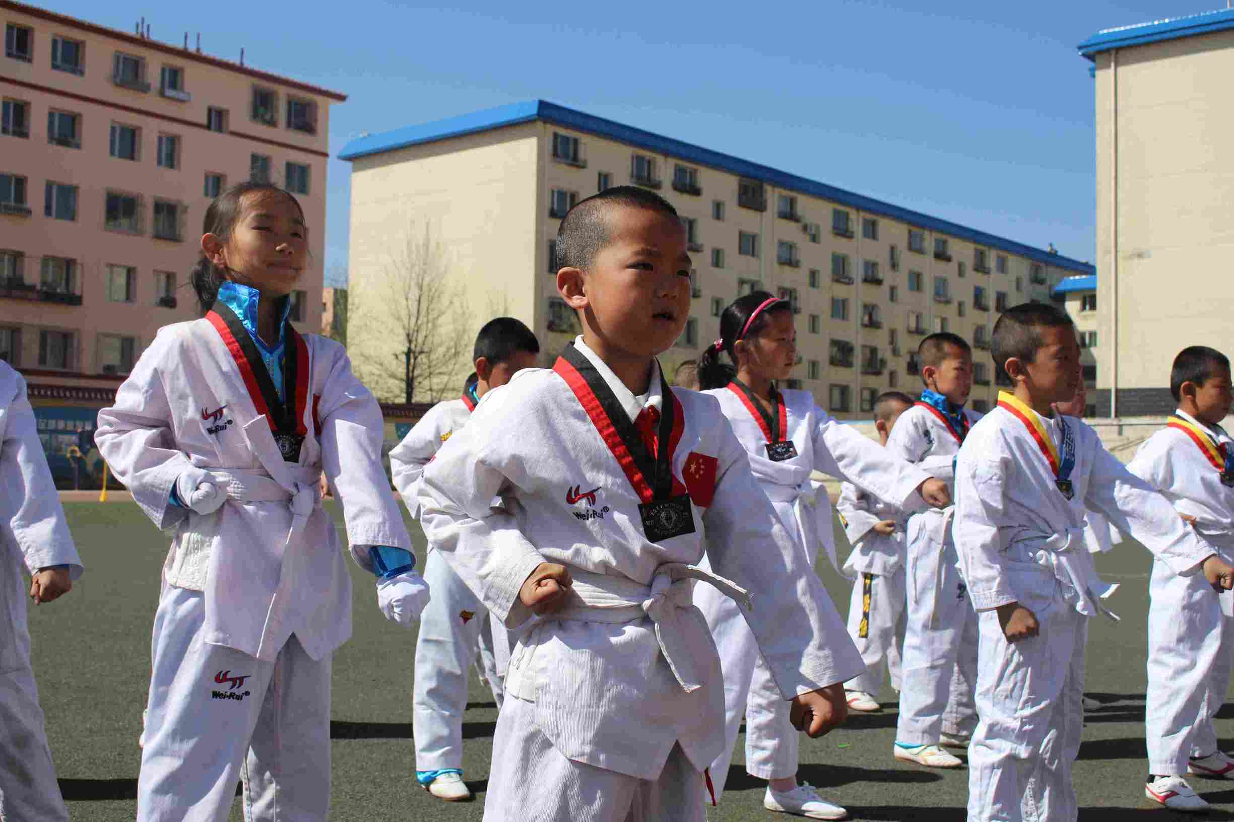 巧尔齐召小学,巧尔齐召小学视频