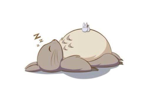 天气热宠物怎么样养好,天气热了宠物应该注意什么