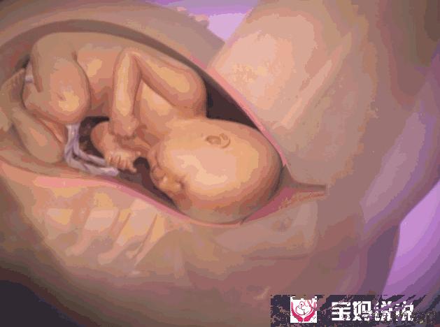 涨姿势！分娩过程原来是这样的