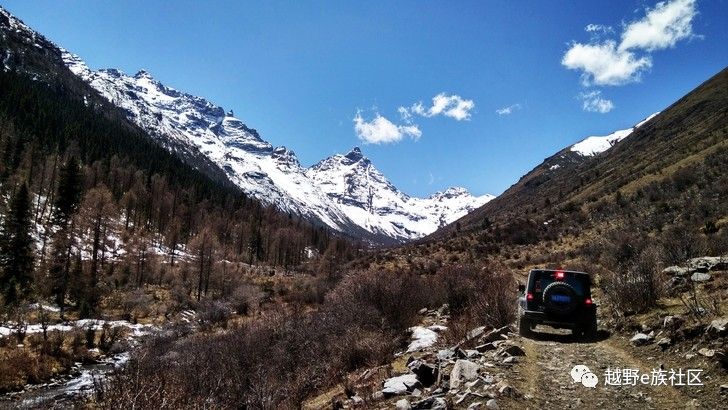 灏忛噾鐗涘巶,灏忛噾鐗涙満姊板巶