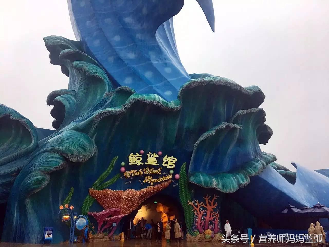 广州长隆海洋王国一日游攻略,广州长隆海洋王国亲子攻略