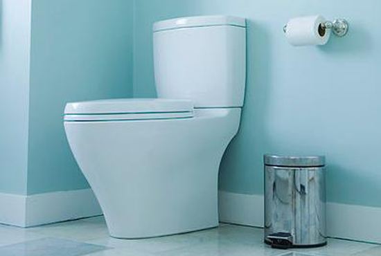 卫生纸应不应该扔马桶,卫生间纸扔马桶还是纸篓