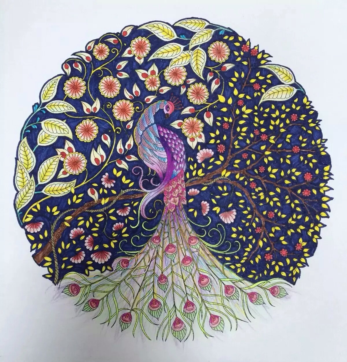 秘密花园2涂色成品,秘密花园涂色详细教程