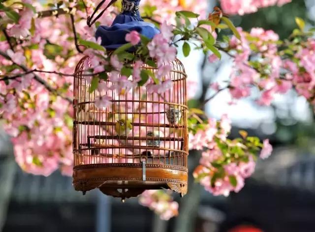 摄友作品点评,4月拍照