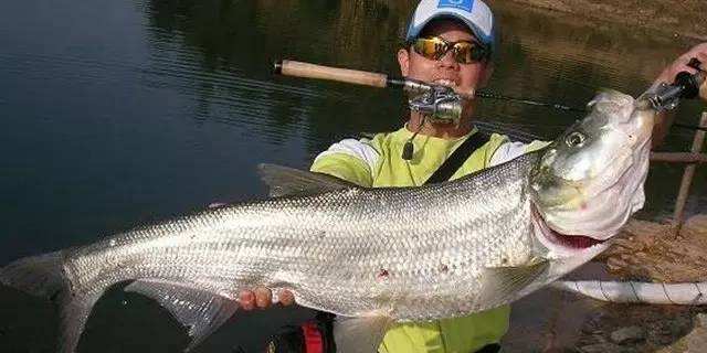 路亚钓法技巧讲解,路亚钓法初级入门教学