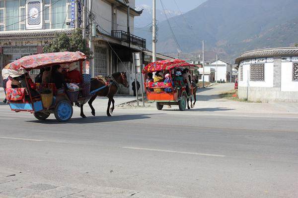 广州三天两晚旅行攻略穷游,7天云南穷游旅游攻略