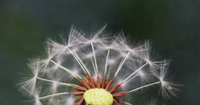 4月照片,4月的照片大全