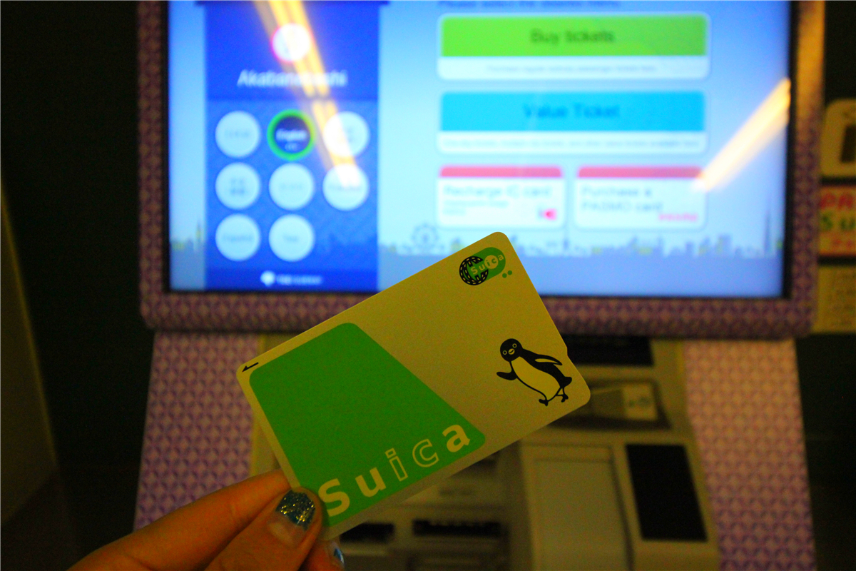 落英缤纷系列,落樱缤纷日本