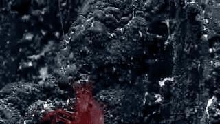 还敢骑皮皮虾？虾表示我们不是好惹的！