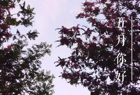 诸暨五一最新政策,诸暨市政策