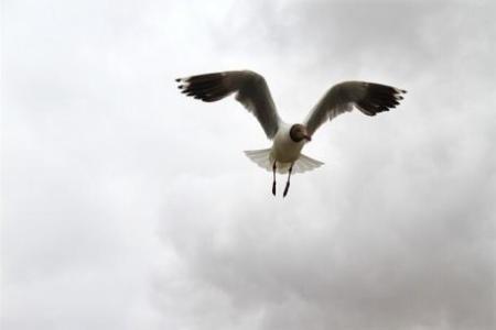 一道美丽的风景是最美的,一道优美的风景