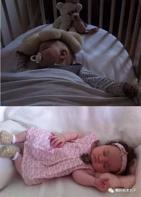 钱会花光人会散它萌不会离开你