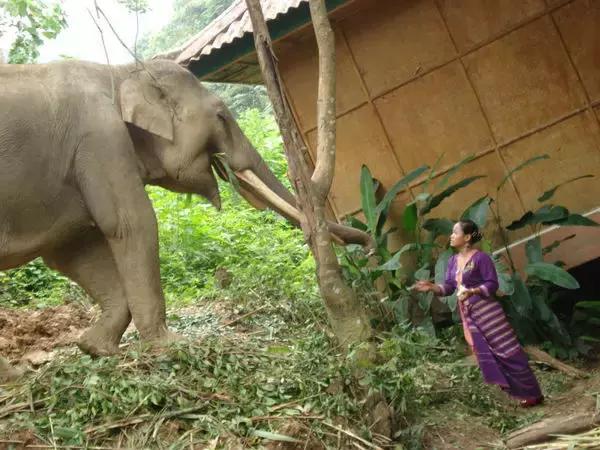 泼水节西双版纳旅游需要注意什么,西双版纳泼水节防晒攻略