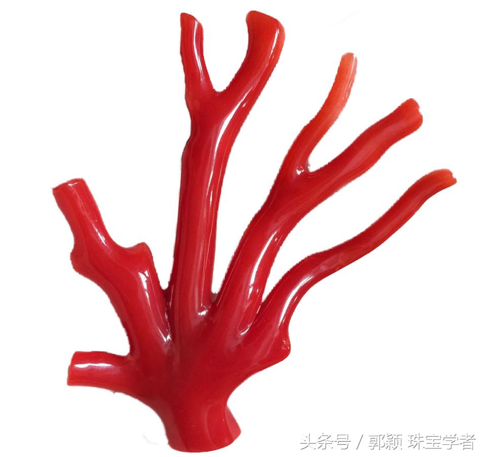 阿卡牛血红珊瑚自己戴可以吗,顶级阿卡牛血红珊瑚是哪个产地