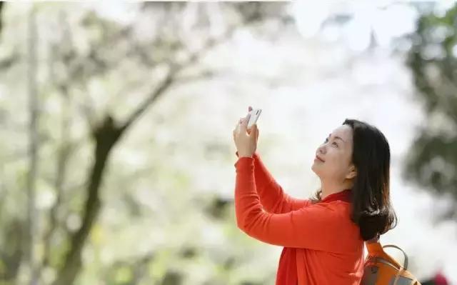 摄友作品点评,4月拍照