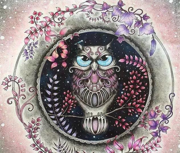 秘密花园2涂色成品,秘密花园涂色详细教程