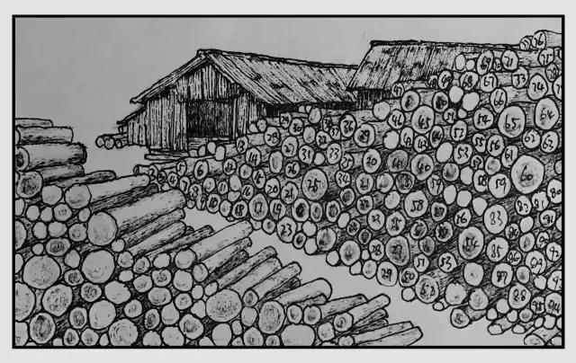 插画师迷狸:路过,停留