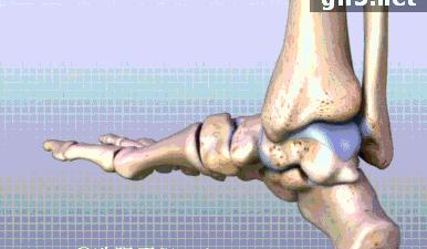 脚踝强化训练：16个动作深度强化脚踝增强稳定性，减少扭伤