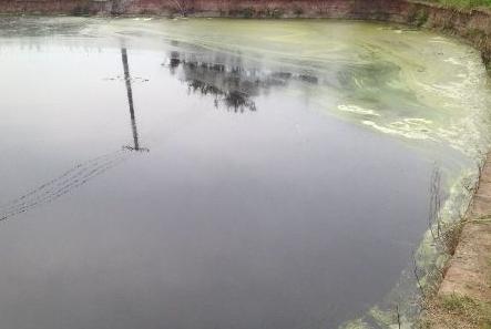 鱼塘里的水变黑变臭怎么处理,有机物过多鱼塘水质变黑怎么处理