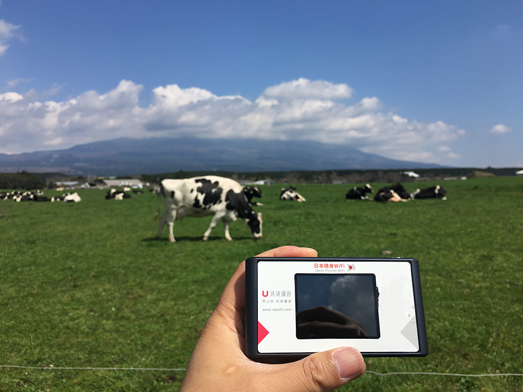 澳门航空空姐游东京 富士山下遇见最美的樱花