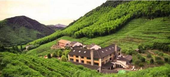 网店卖茶叶要具备哪些条件,想在抖音上卖茶叶怎么做