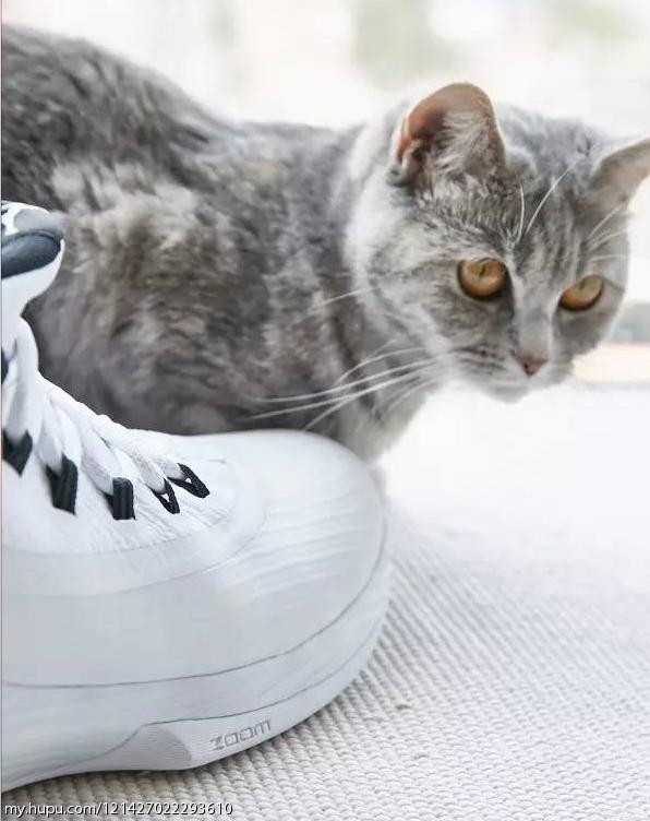 不负责球鞋评测zoomlive,jordanultrafly2实战评测