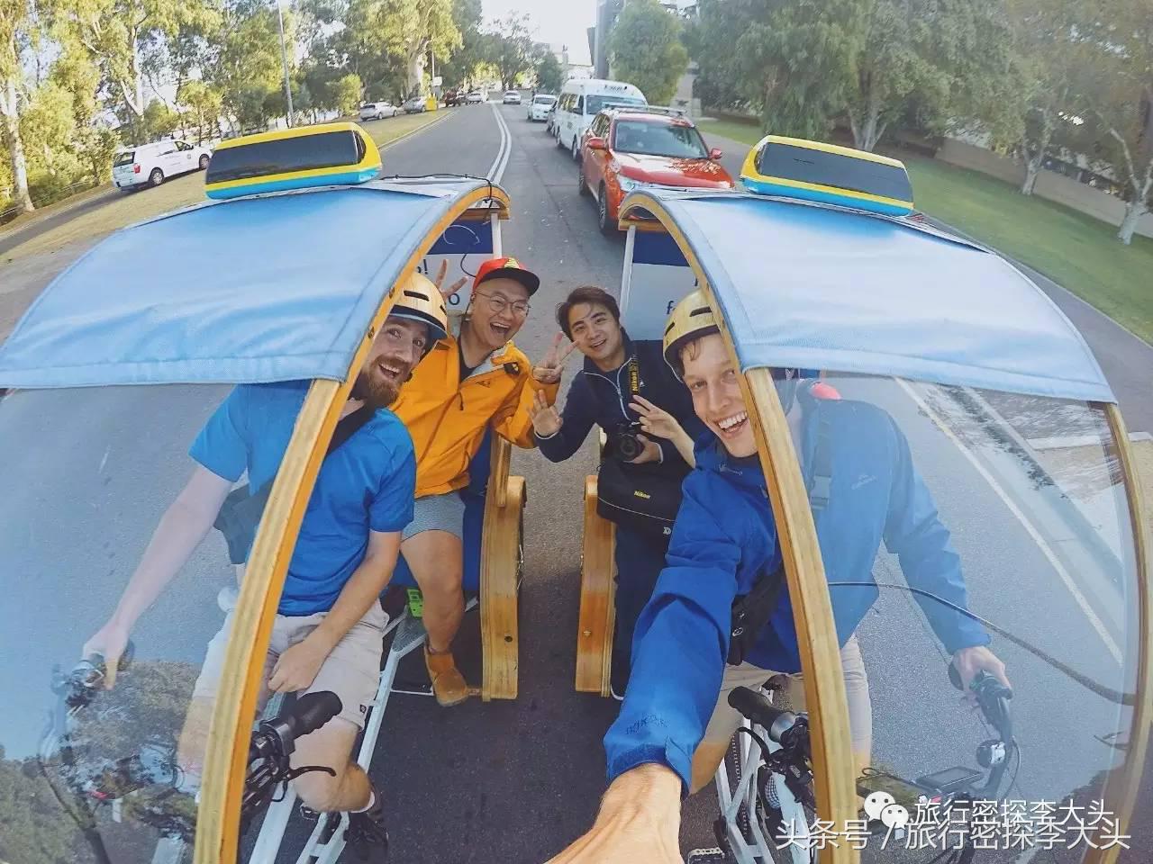 中国哪里可以抱考拉,全球哪里可以抱考拉