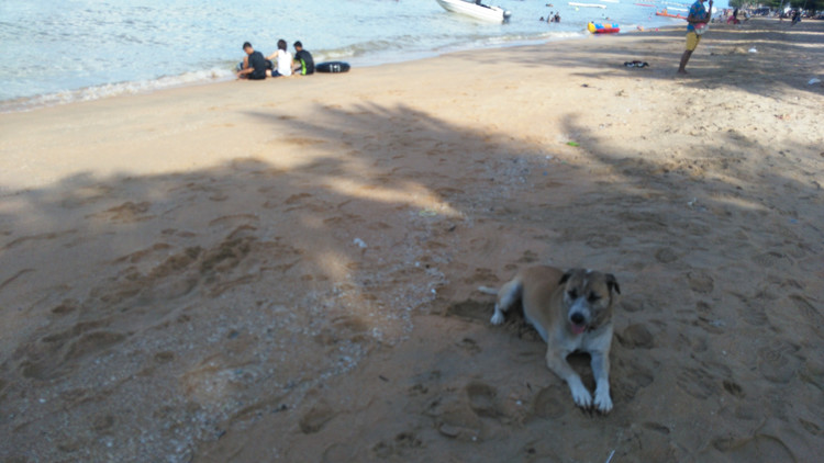 海岛体验,泰国旅游格兰岛攻略