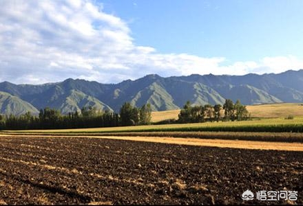 东北农业可持续发展,看看东北农村是什么样的