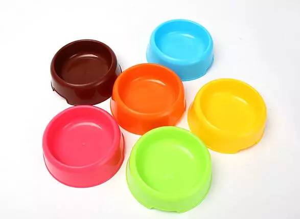 给狗喂饭要喂多少,给狗刷牙的知识