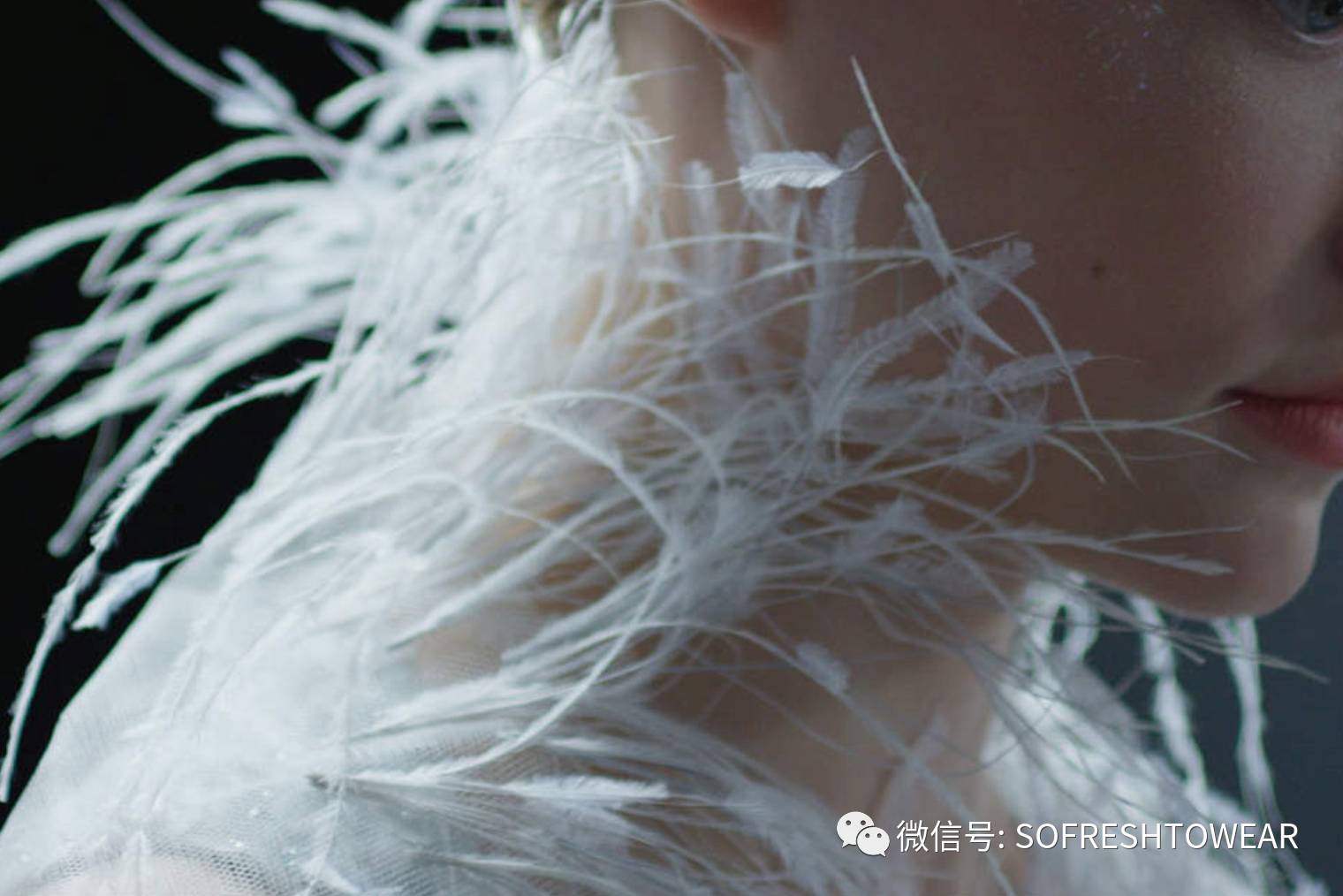 给你一百万｜你愿意买件衣服还是买辆车子？