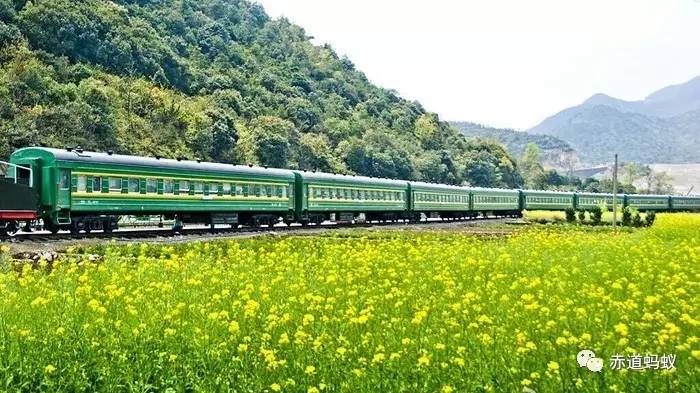 谁是被你藏进绿皮火车里的布衣传说