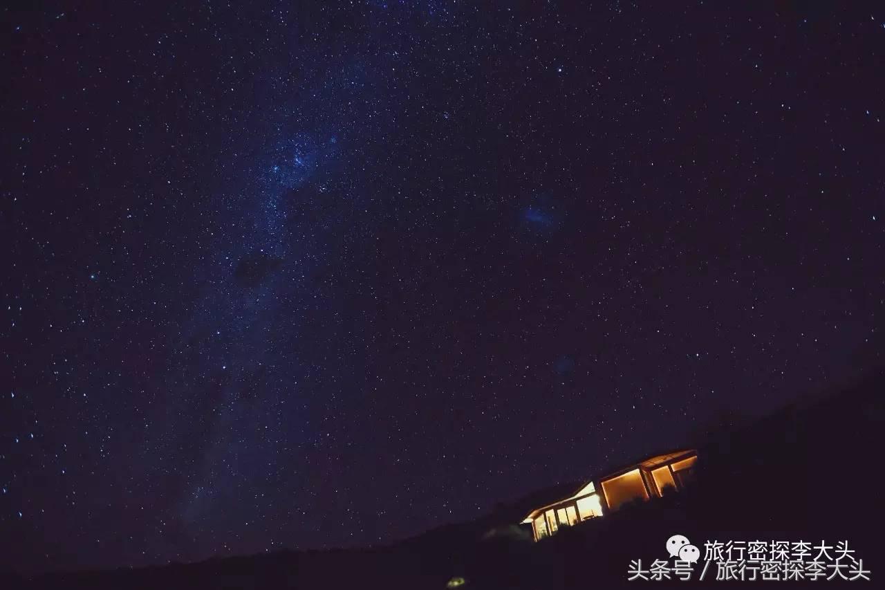 中国哪里可以抱考拉,全球哪里可以抱考拉