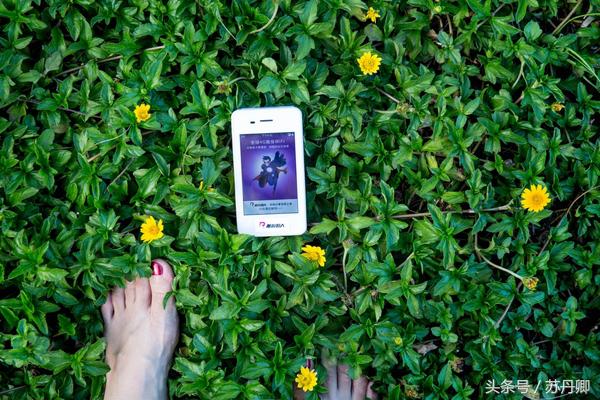 越南背包客旅游地方,越南背包客的穿越之旅