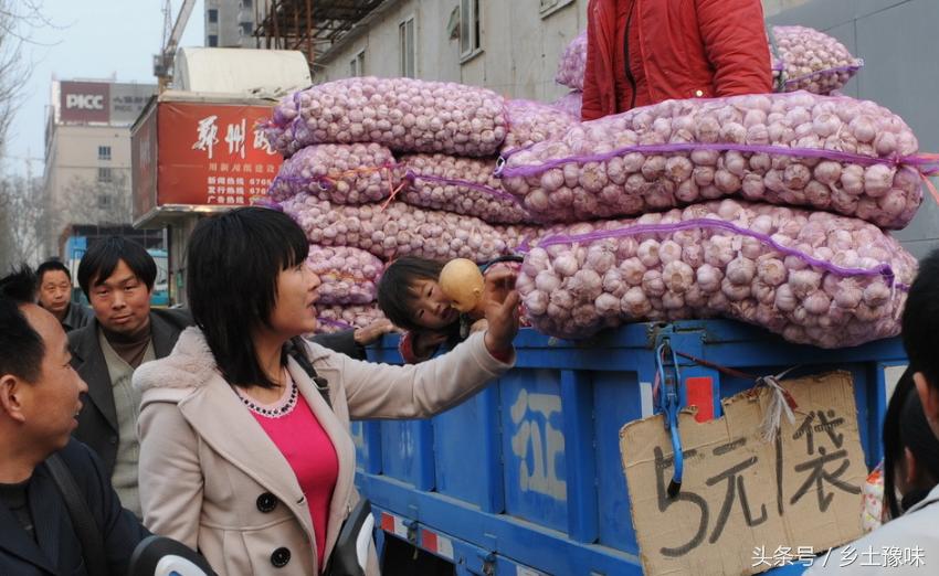 蒜薹为什么突然贵了,蒜薹为什么涨价