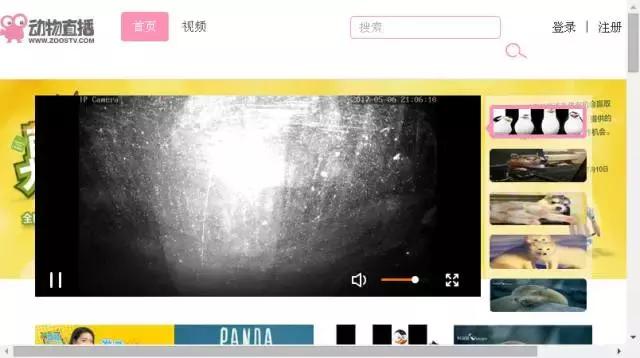 搞人的直播已经腻了，有家直播网站搞起了动物直播