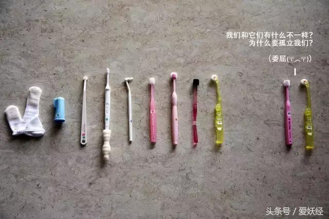 热门网红猫咪牙刷测评,猫咪牙刷测评红黑榜