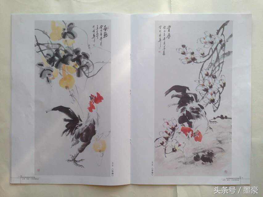 公鸡母鸡组合画法,柿子公鸡写意画法