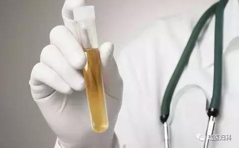 备孕爸爸妈妈要补充什么呢,备孕爸爸妈妈应该知道的事